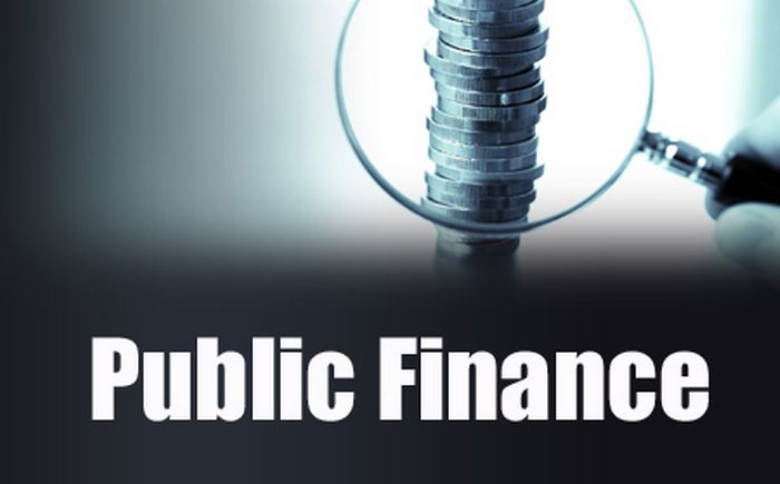 PUBLIC FINANCE
